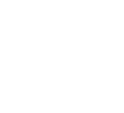 SplendorX