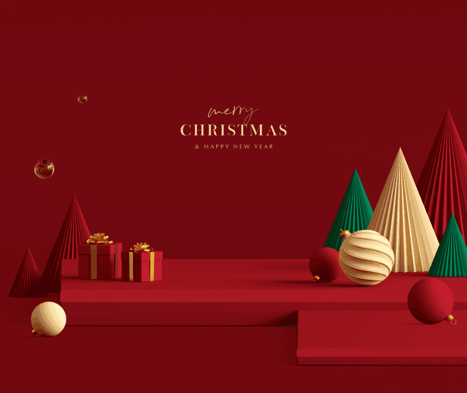 Christmas at LenoyMED: Exclusive Holiday Offers for You: Web